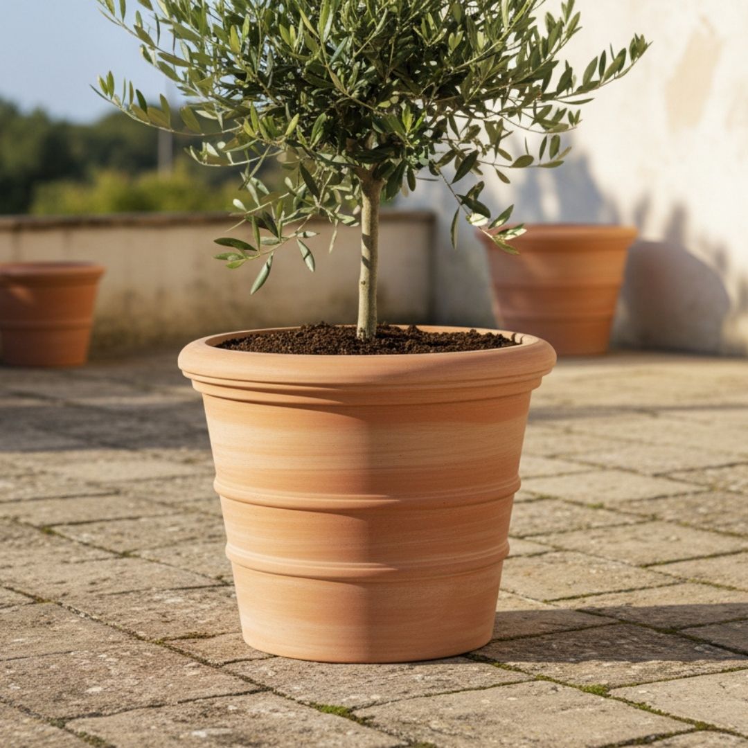 Terracotta Pot Siena