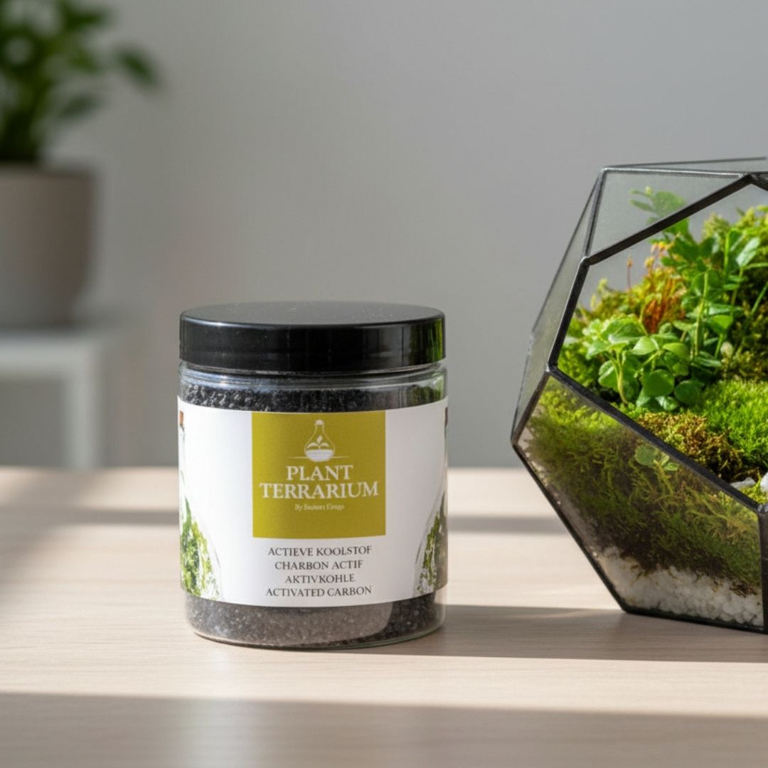 activated charcoal plant terrarium Terrarium Activated Charcoal 100g