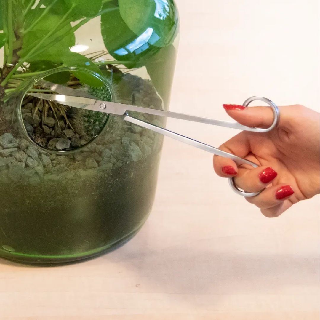 Terrarium Scissors