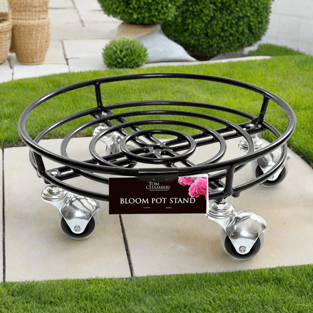 Tom Chambers Bloom Pot Stand on Wheels The Garden House