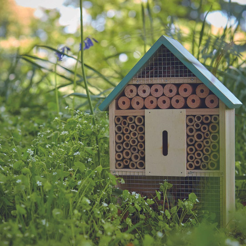 Tom Chambers Bug & Bee Barn