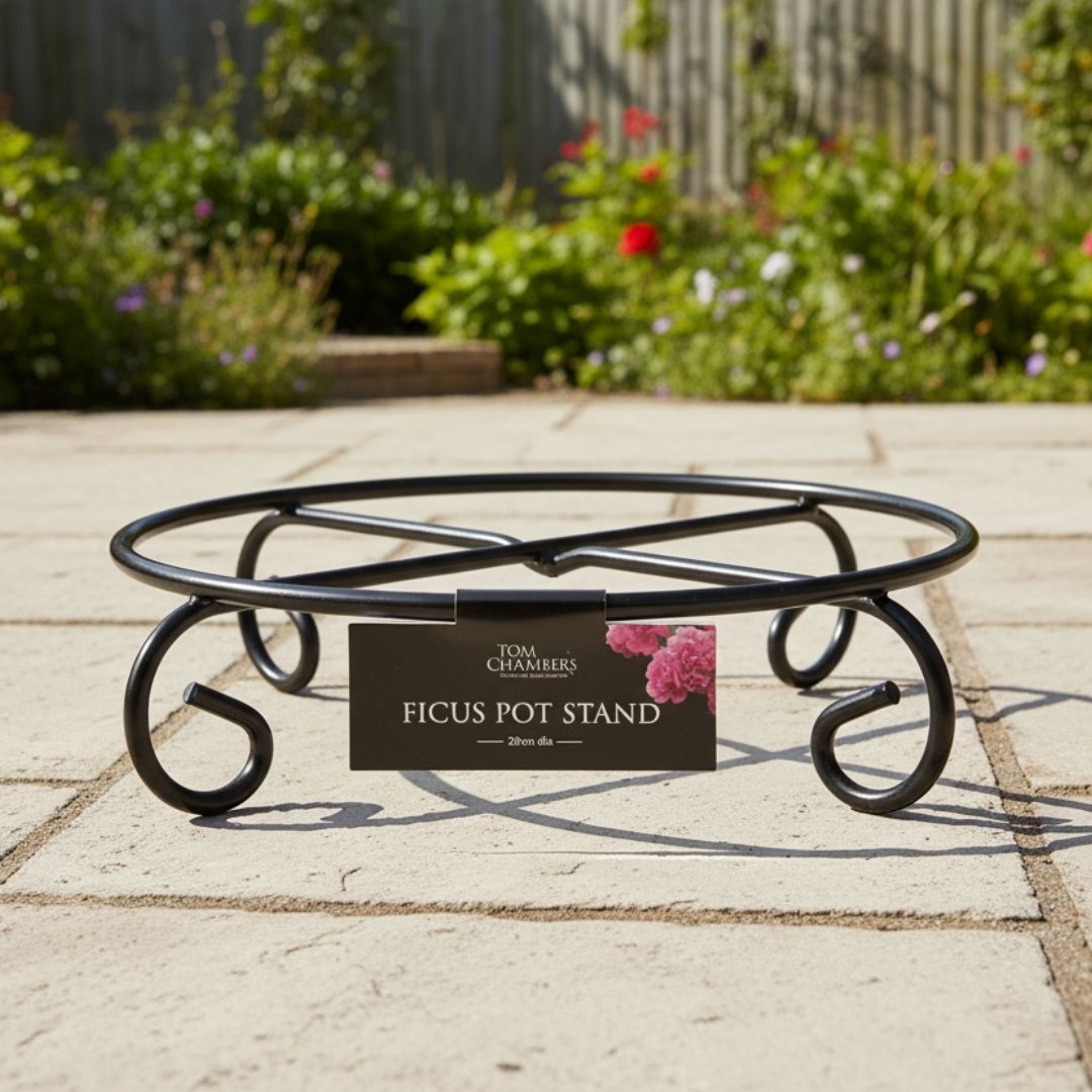 Tom Chambers Ficus Pot Stand