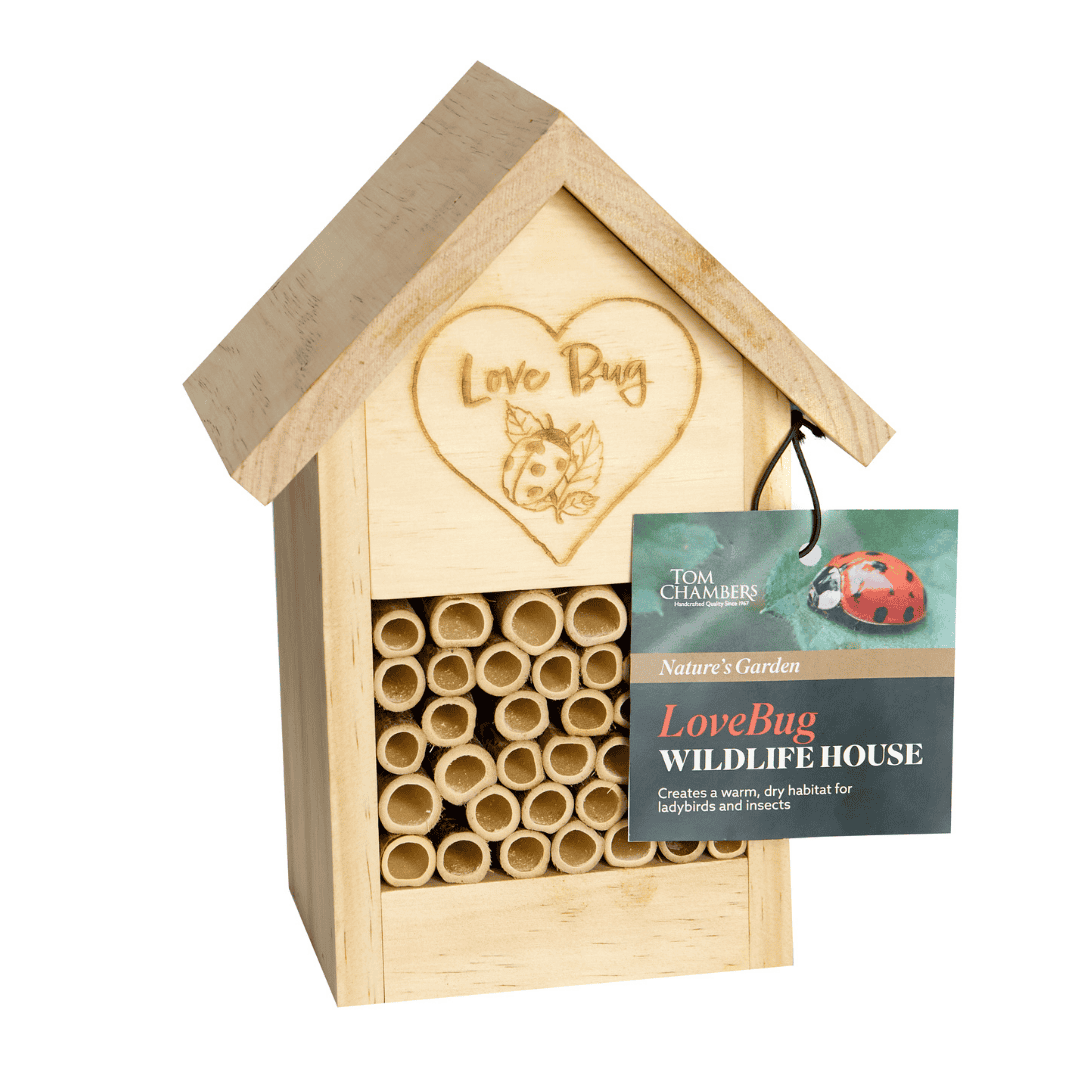 Tom Chambers Love Bug Wildlife House