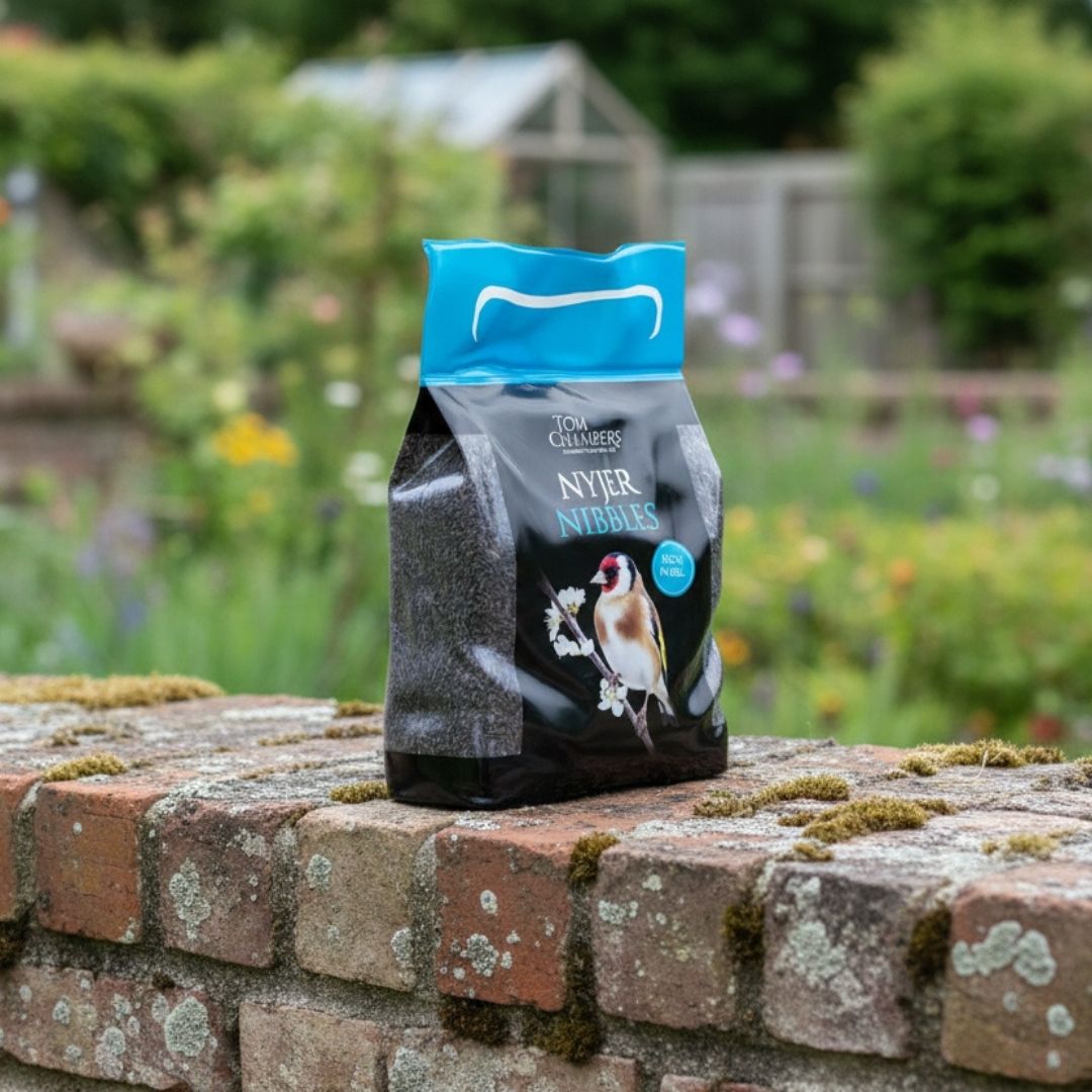 Tom Chamber Nyjer Nibbles