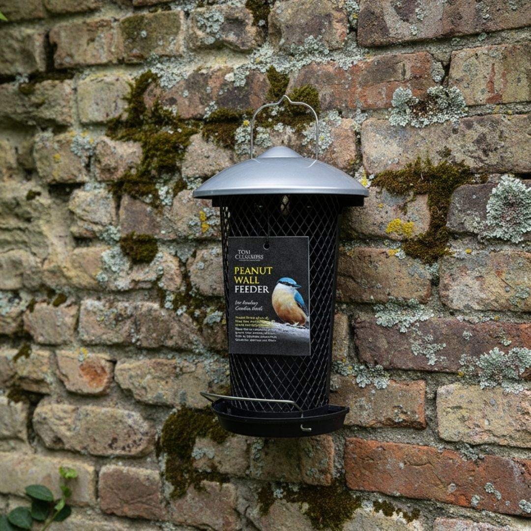 Tom Chambers Wall Peanut Feeder