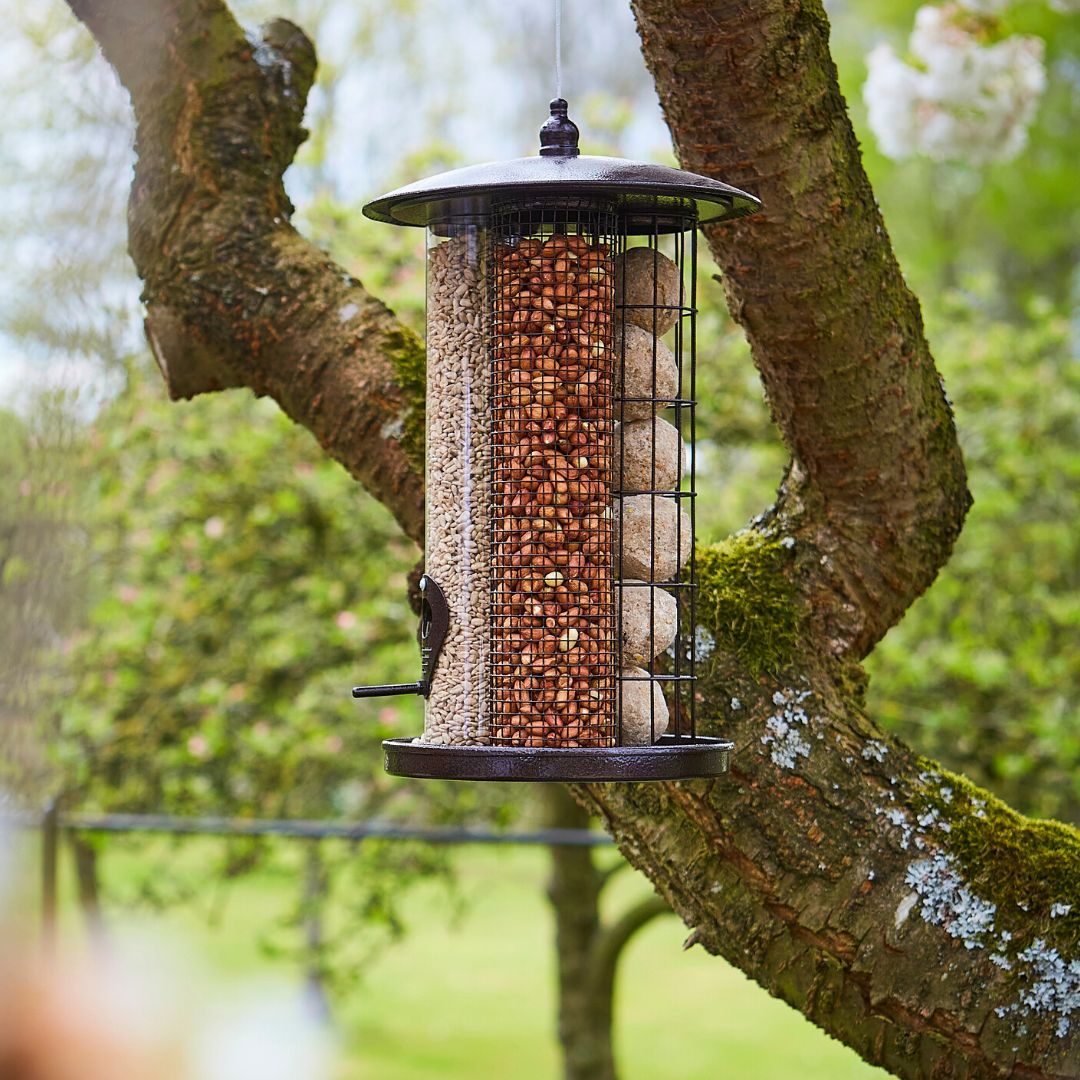 Tom Chambers Trinity Bird Feeder – The Garden House