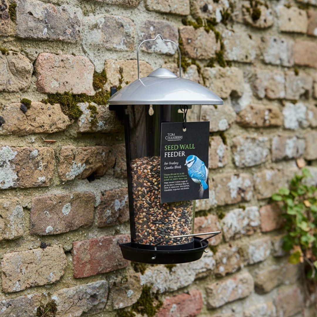 Tom Chambers Wall Seed Feeder