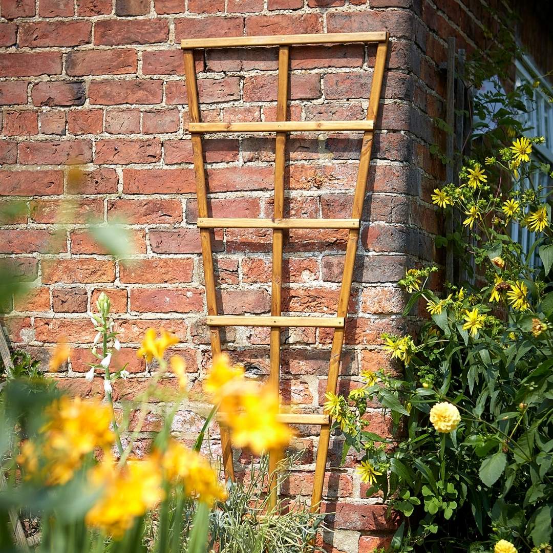 wooden fan trellis Tom Chambers Wooden Fan Trellis 180cm – Garden Lattice Panel