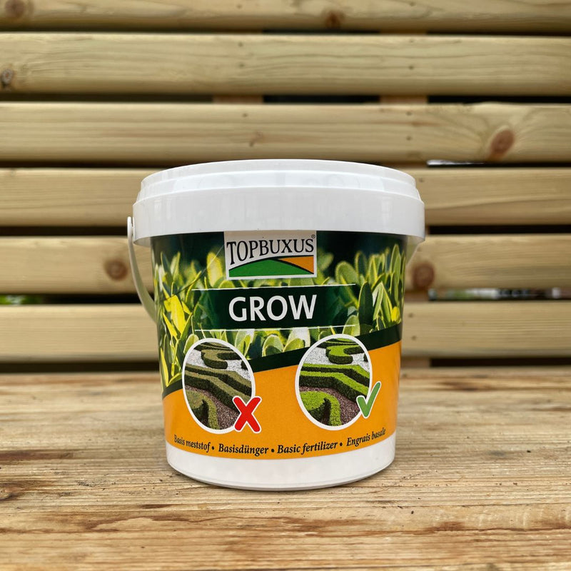 TopBuxus Grow Feed - The Garden HouseTopbuxus