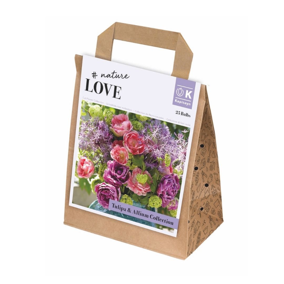 Tulip and Allium Collection Bulbs