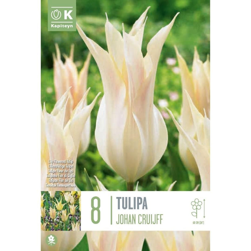 Tulip Johan Cruijff Bulbs