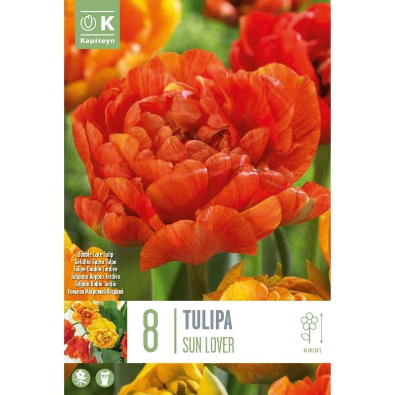 Tulip Sun Lover Bulbs