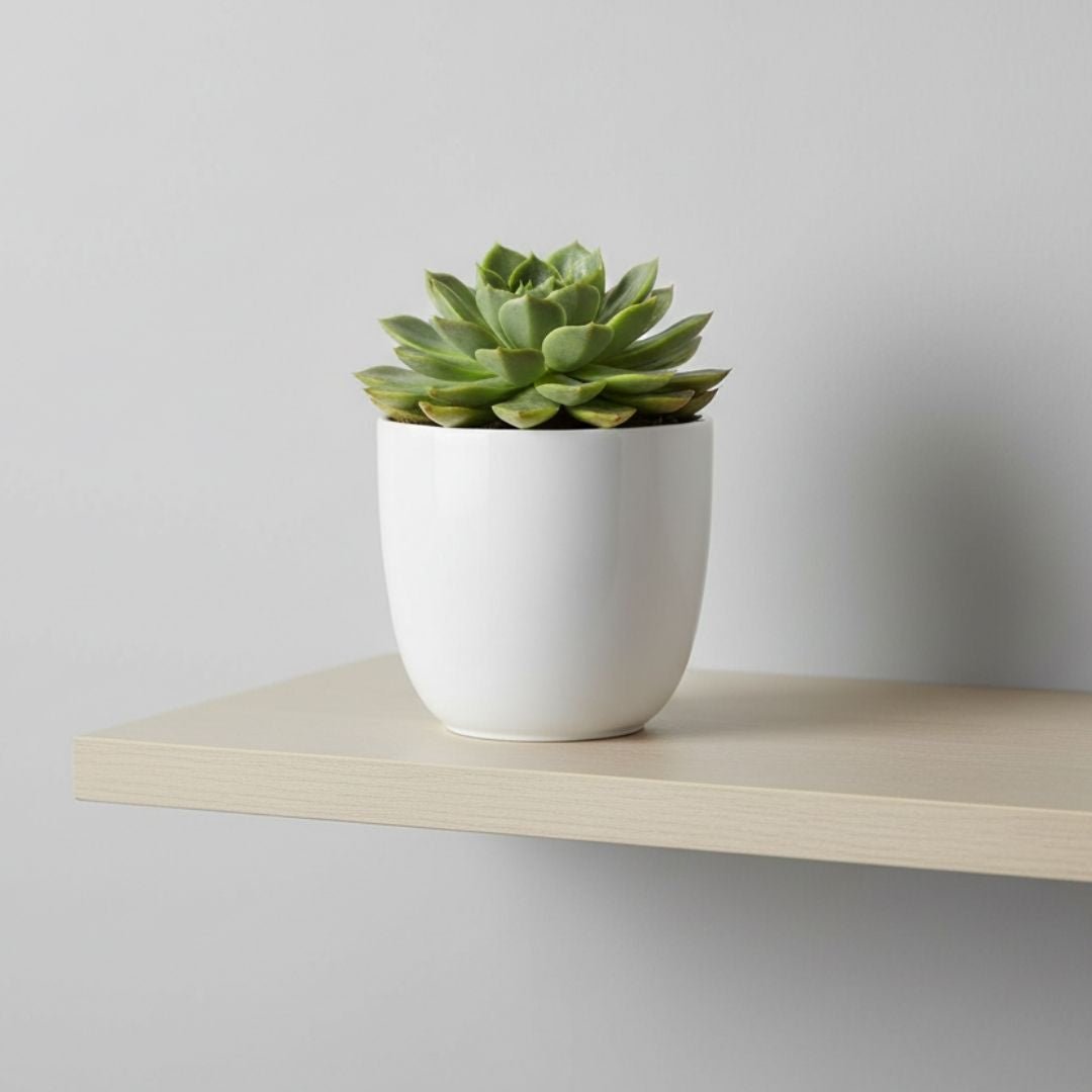 Tusca Indoor Pot Round White