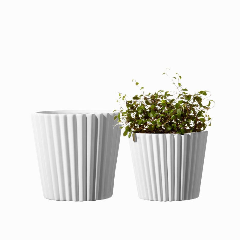 Viveka Pot White