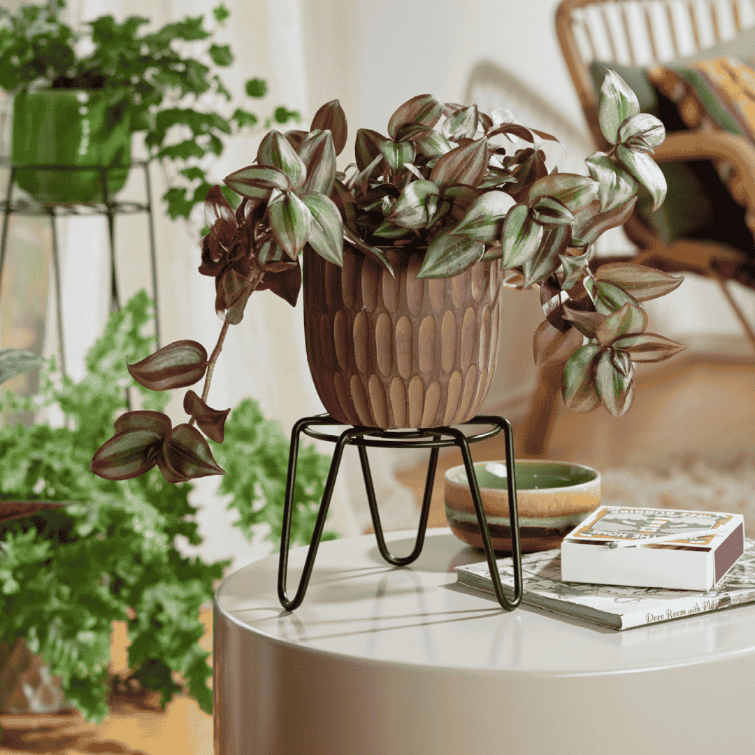 Wagner Plant Stand Black Metal