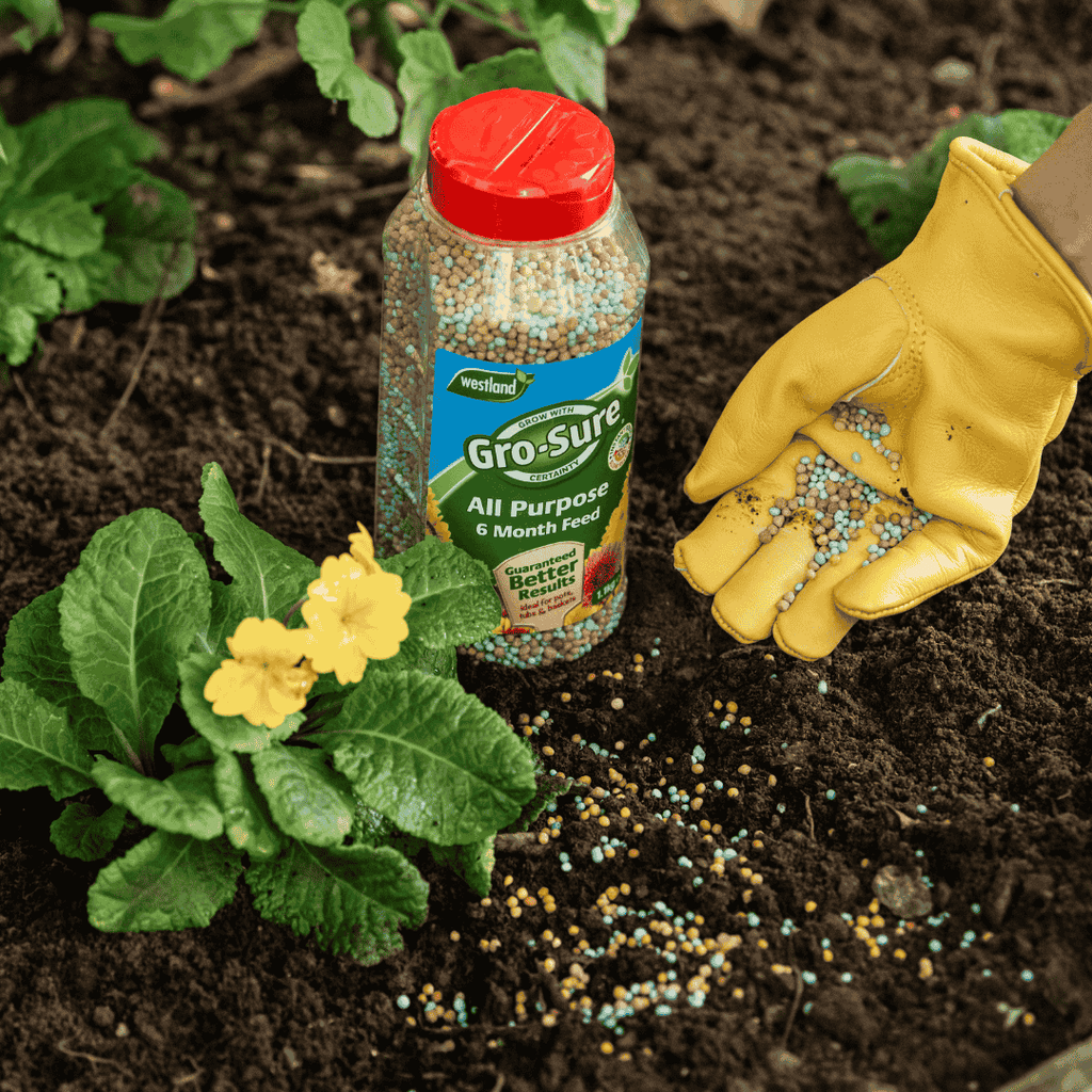 Westland Gro-Sure All-Purpose 6 Month Plant Feed The Garden House