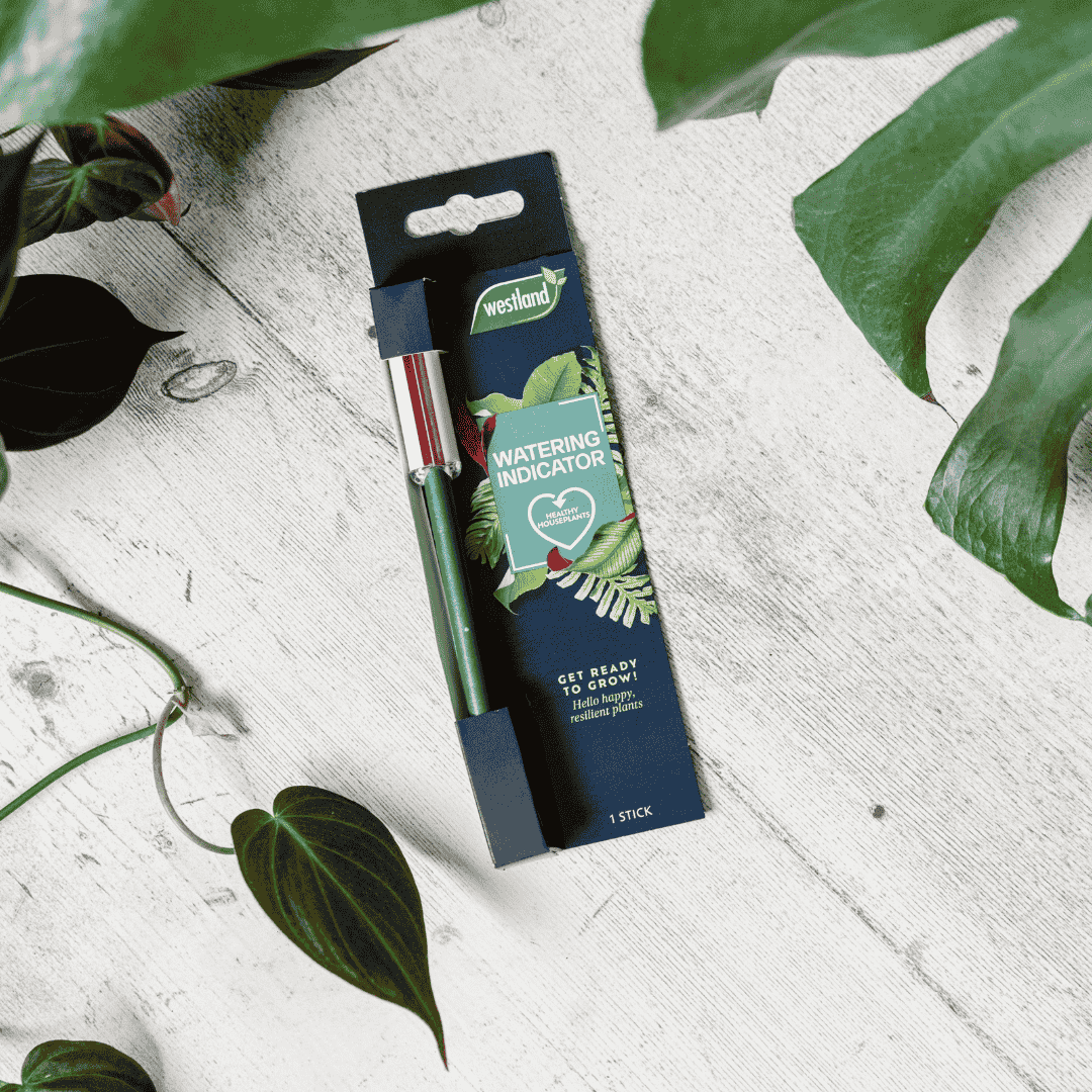 house plant watering indicator Westland Houseplant Watering Indicator