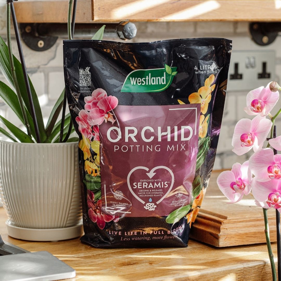 westland potting mix Westland Orchid Potting Mix