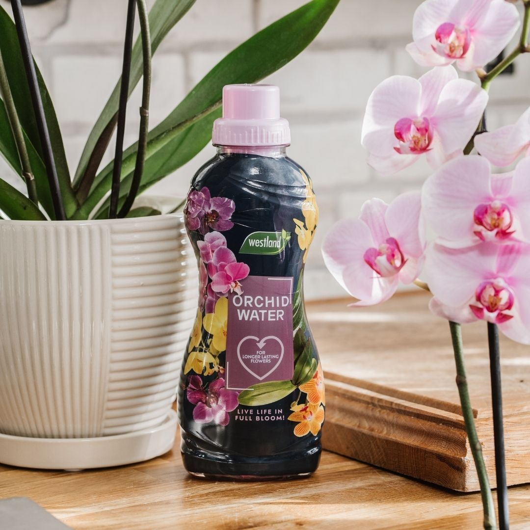 Westland Orchid Water
