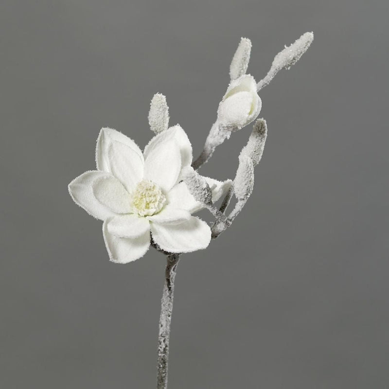 Magnolia Spray White Snow