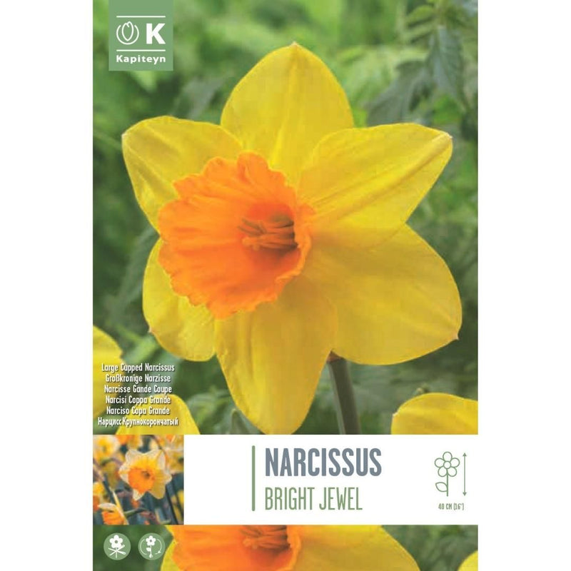 Narcissus Bright Jewel Bulbs