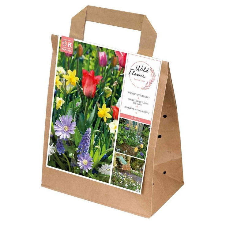 Spring Mix Wild Flower Collection Bulbs