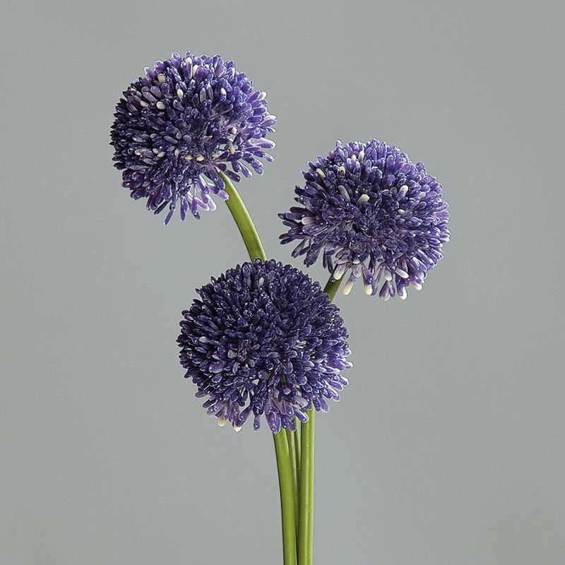 Allium Spray x 3 Lavender - The Garden HouseDPI