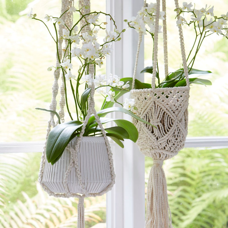 Belle Plant Hanger Off White - The Garden HouseWikholm