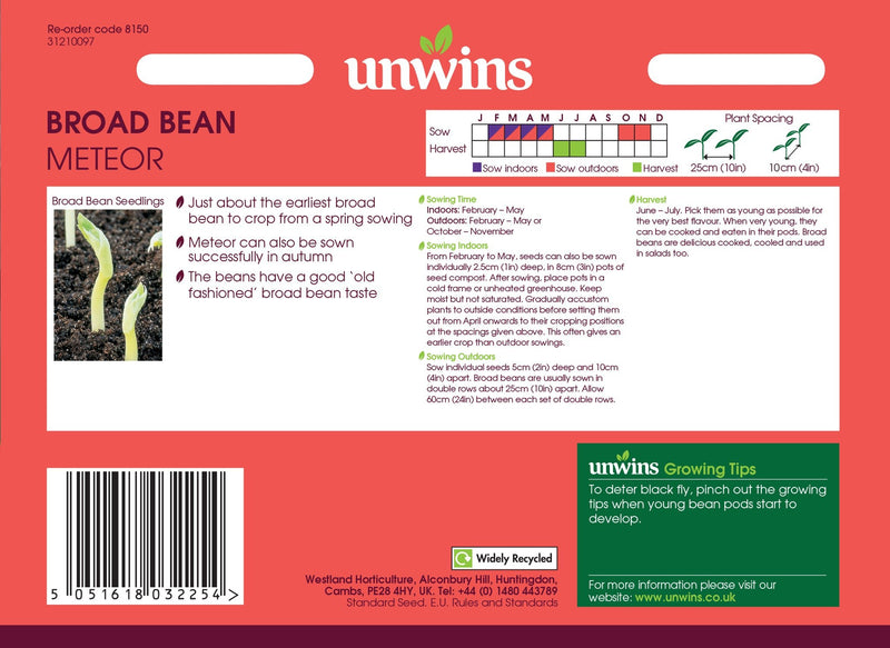 Broad Bean Meteor - The Garden HouseUnwins