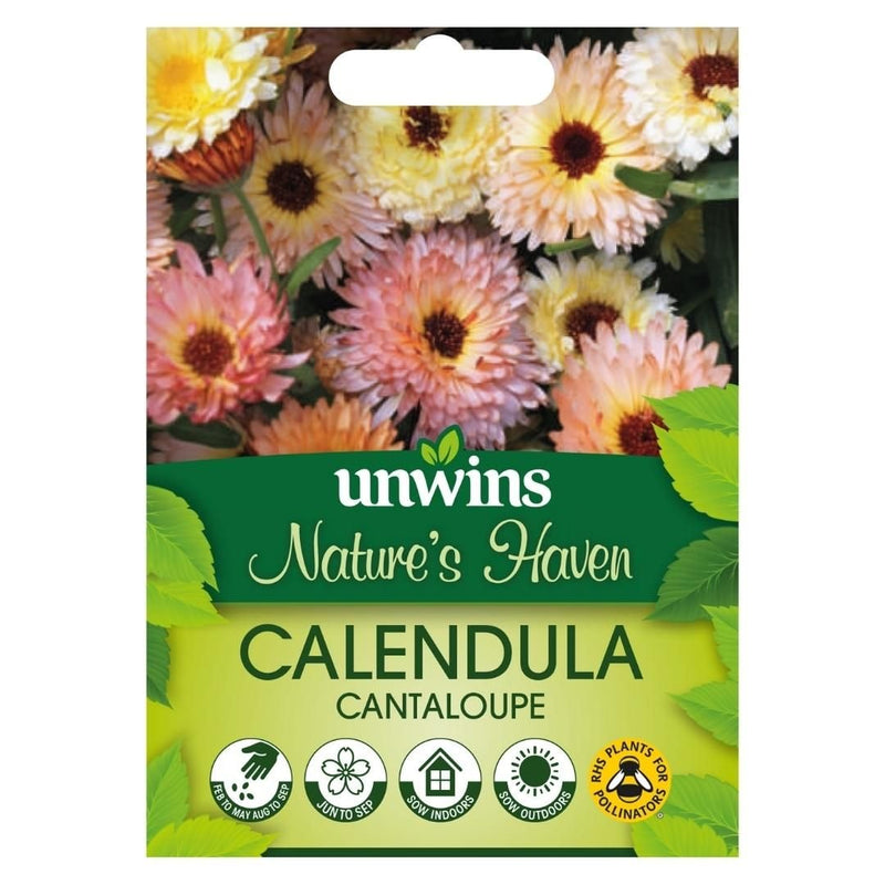 Calendula Cantaloupe - The Garden HouseUnwins