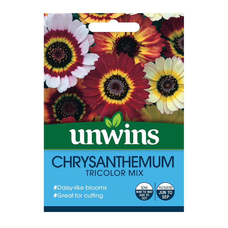 Chrysanthemum Tricolor Mix - The Garden HouseUnwins