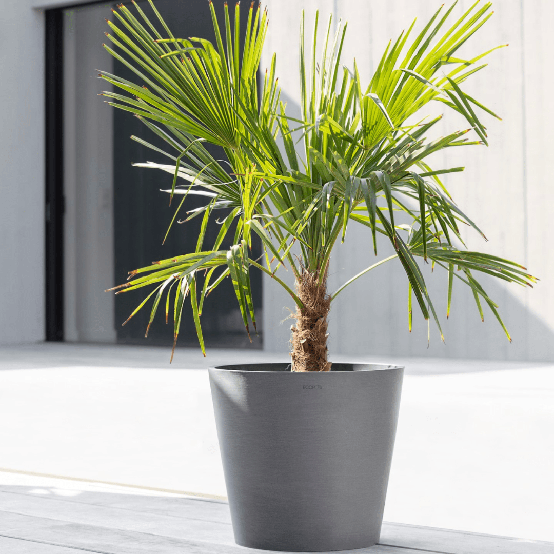 Ecopots Amsterdam Grey