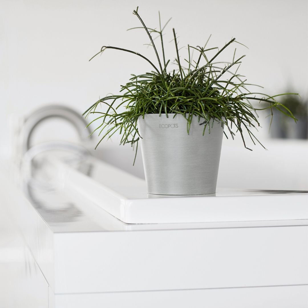 Ecopots Amsterdam Mini Pot White Grey