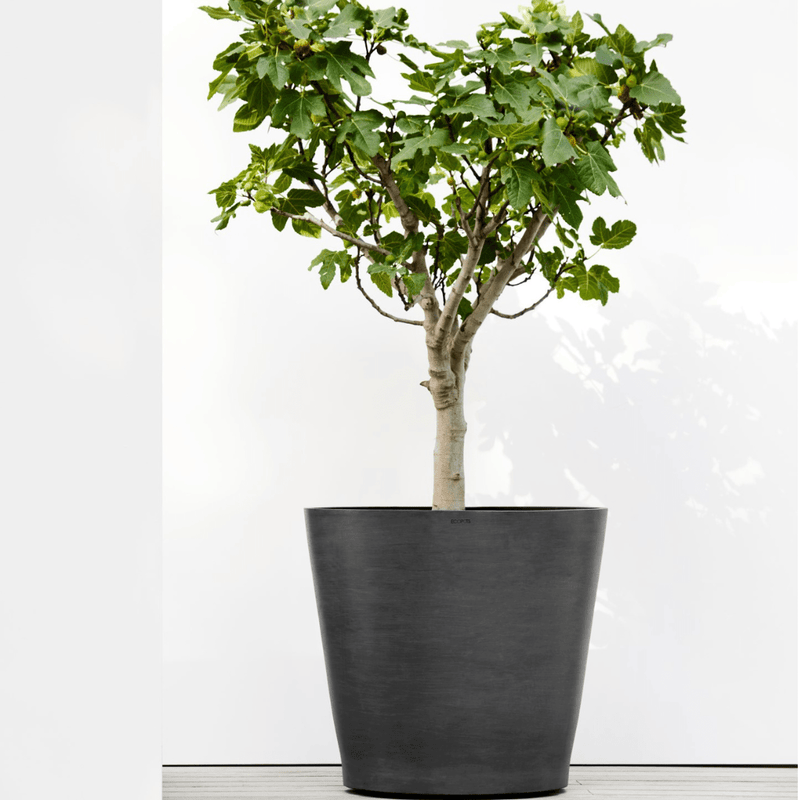 Ecopots Amsterdam Wheels Dark Grey 60cm - The Garden HouseEcopots