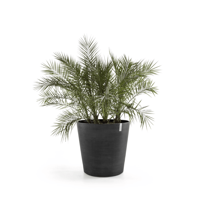 Ecopots Amsterdam Wheels Dark Grey 60cm - The Garden HouseEcopots