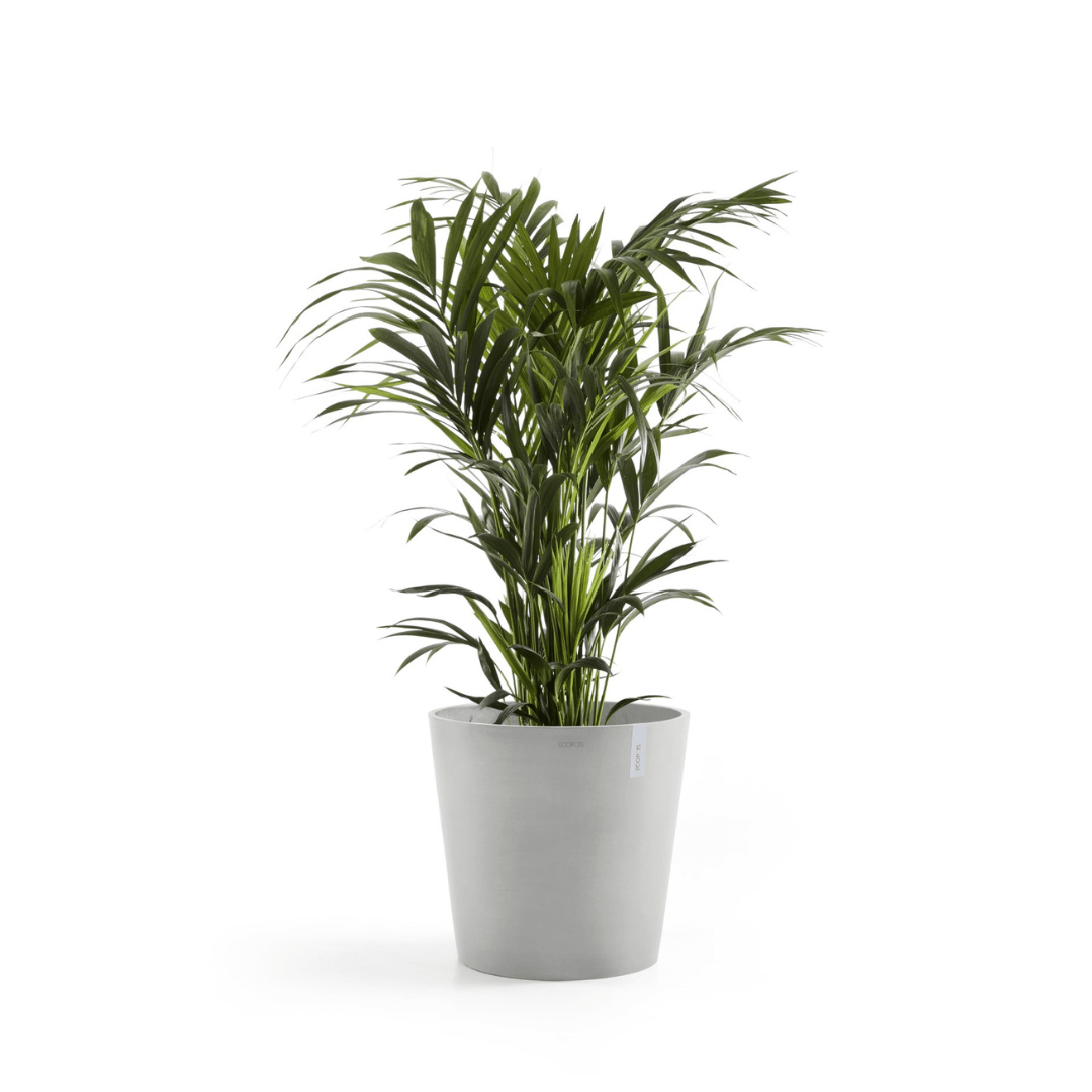 Ecopots Amsterdam White Grey