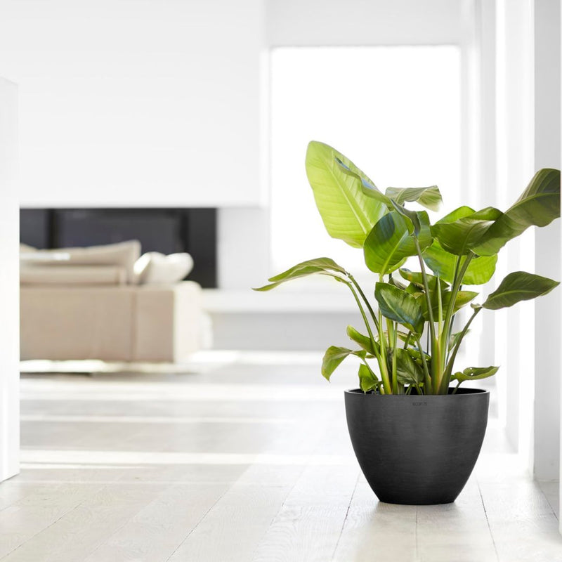 Ecopots Antwerp Dark Grey - The Garden HouseEcopots