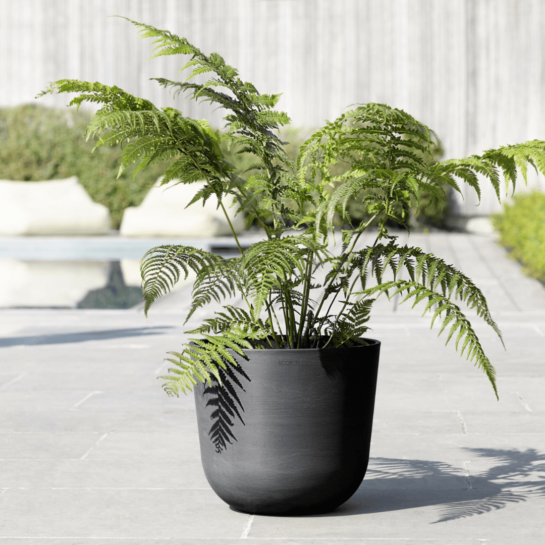 Ecopots Oslo Dark Grey