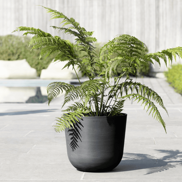 Ecopots range