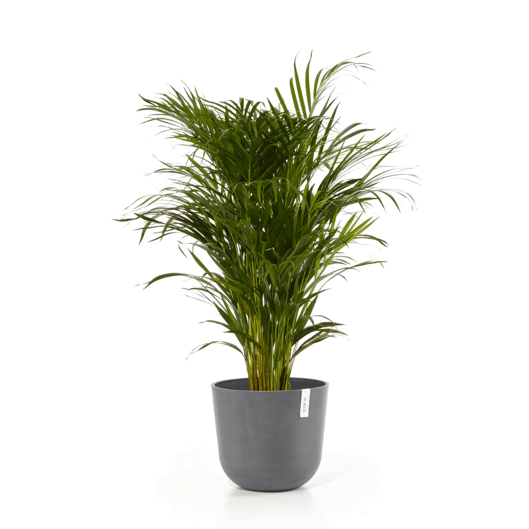 Ecopots Oslo Grey