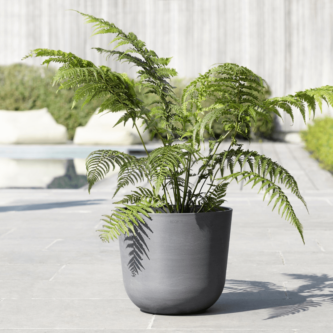 Ecopots Oslo Grey