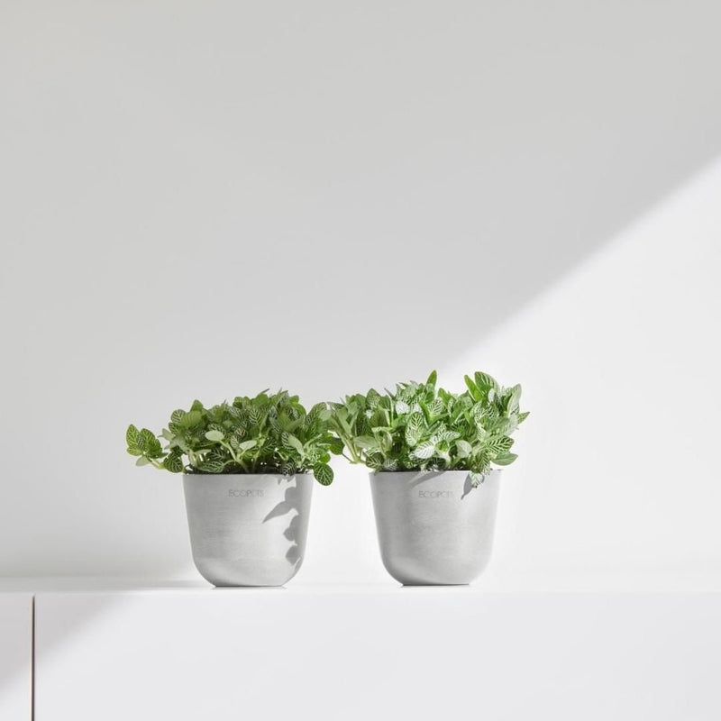 Ecopots Oslo Mini Pot White Grey - The Garden HouseEcopots