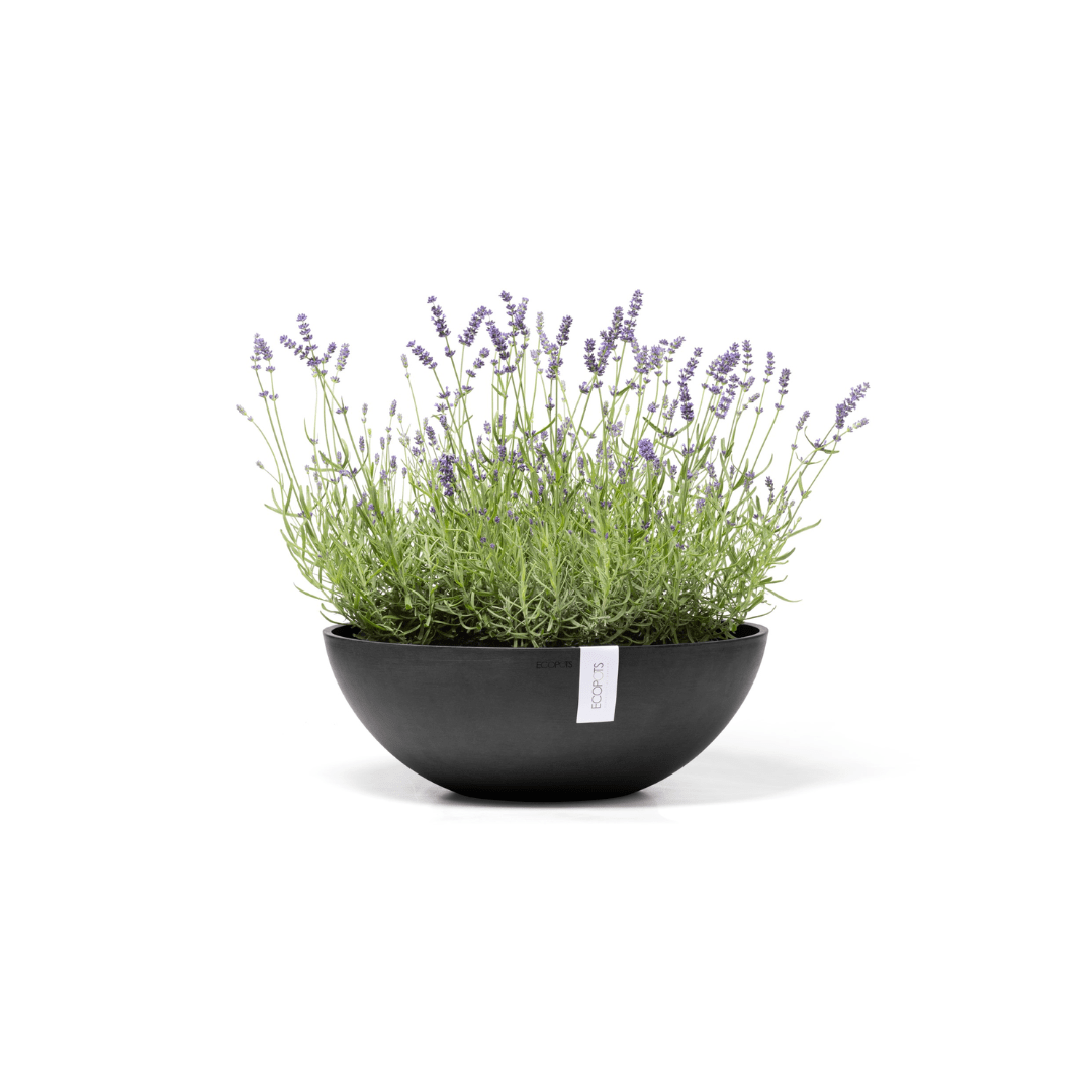 Ecopots Vienna Dark Grey