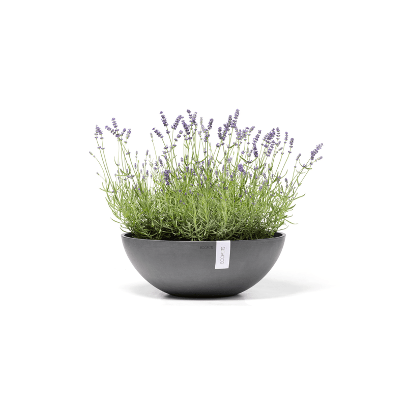 Ecopots Vienna Grey