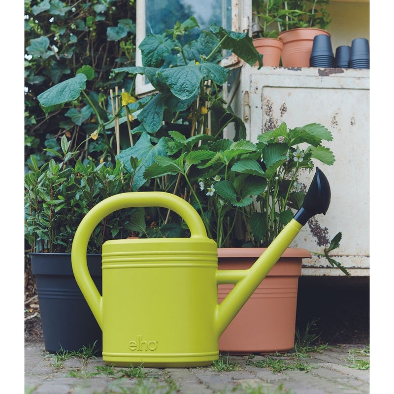 Elho Green Basics Watering Can 10L - The Garden HouseElho