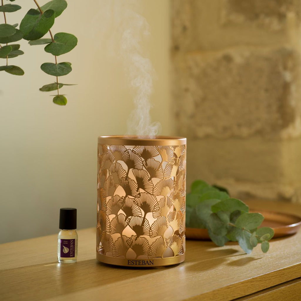 Aroma Mist Diffuser - Esteban Copper & Light Edition Perfume | The ...