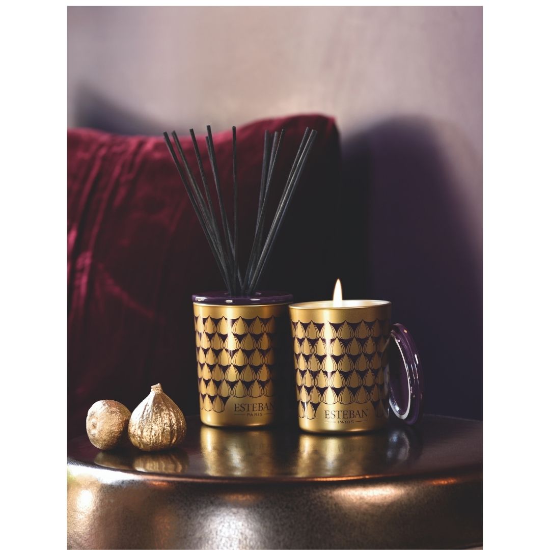 Esteban Decorative Diffuser - Figue Noire