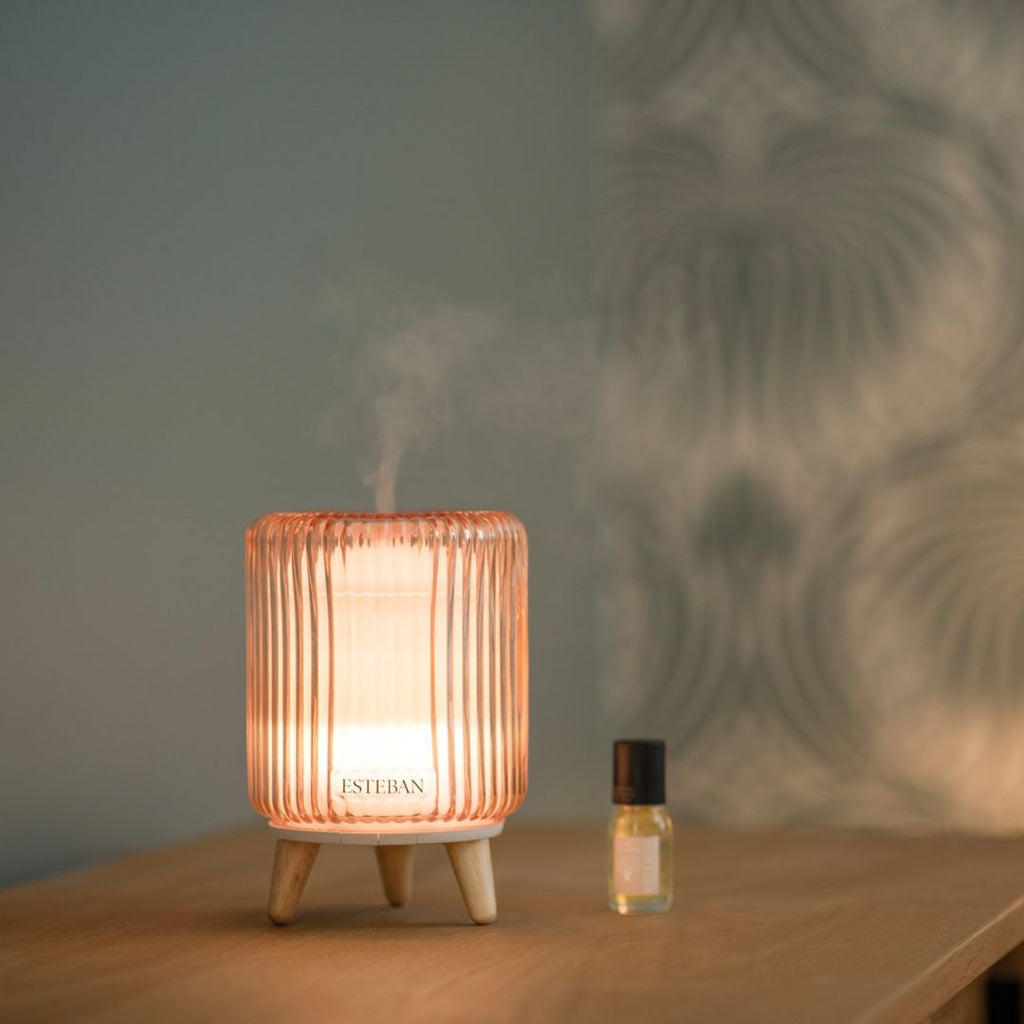 Aroma Mist Diffuser-Esteban So Retro Perfume | The Garden House