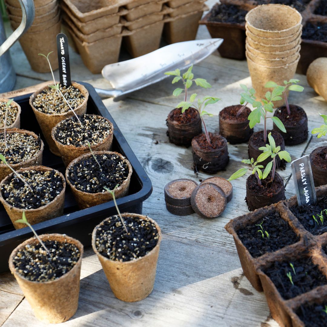 Gro-Sure Round Fibre Pots