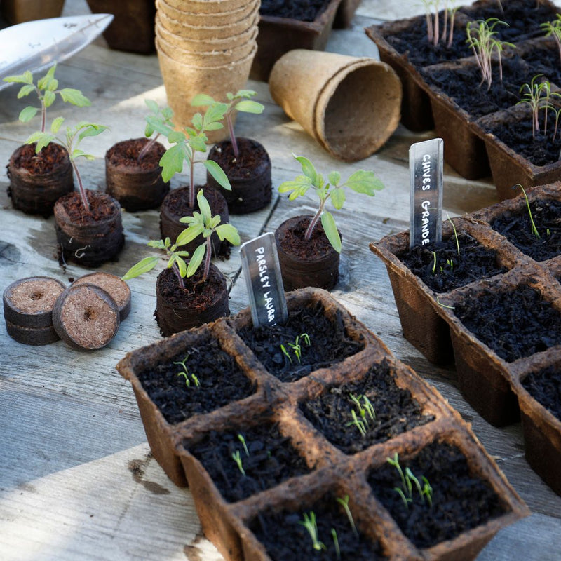Gro-Sure Square Fibre Pots - The Garden HouseWestland